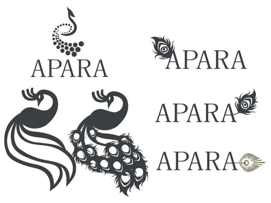 Logo APARA - Travail préparatoire